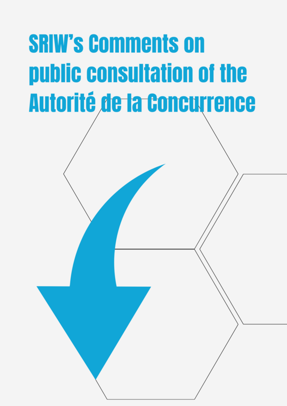 SRIW's Comments on public consultation